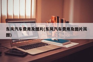 东风汽车费用及图片(东风汽车费用及图片岚图)