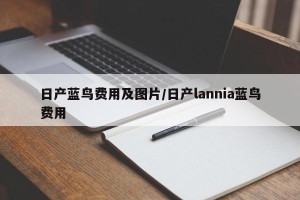 日产蓝鸟费用及图片/日产lannia蓝鸟费用