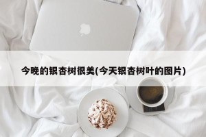 今晚的银杏树很美(今天银杏树叶的图片)